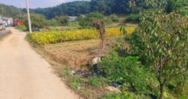 충청남도 당진시 송산면 금암리 OOO 답 경매 물건 이미지