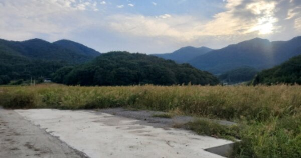 전라남도 고흥군 점암면 강산리 OOOO O OOO 답 경매 물건 이미지