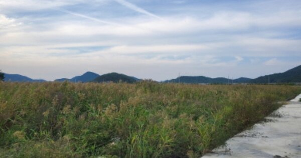 전라남도 고흥군 점암면 강산리 OOOO O OOO 답 경매 물건 이미지