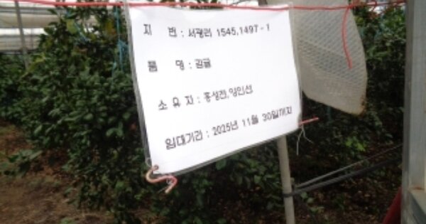 제주특별자치도 서귀포시 안덕면 서광리 OOOOOO O OOO 과수원 경매 물건 이미지