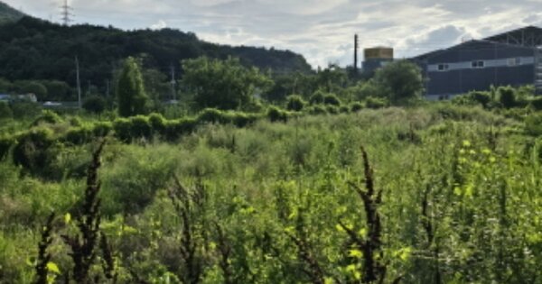 경상북도 칠곡군 지천면 연화리 OOOOO 전 경매 물건 이미지