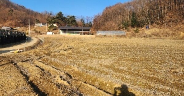 충청북도 보은군 산외면 어온리 OO 전 경매 물건 이미지