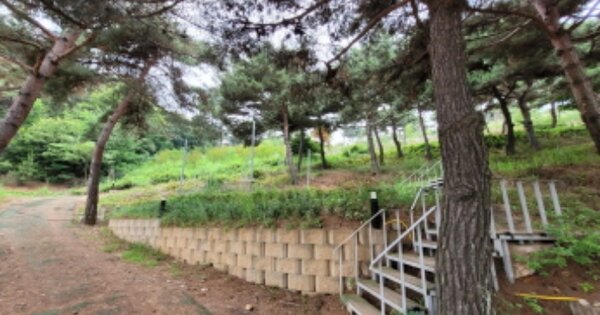 경기도 화성시 서신면 제부리 OOO 임야 경매 물건 이미지