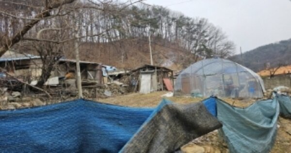 충청북도 진천군 이월면 신계리 OOOOO 대지 경매 물건 이미지