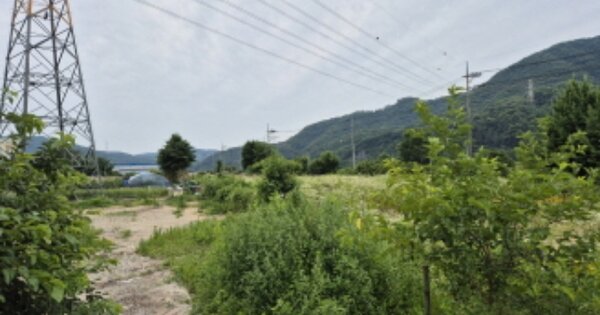 세종특별자치시 부강면 금호리 OOOOOO O OOO 잡종지 경매 물건 이미지
