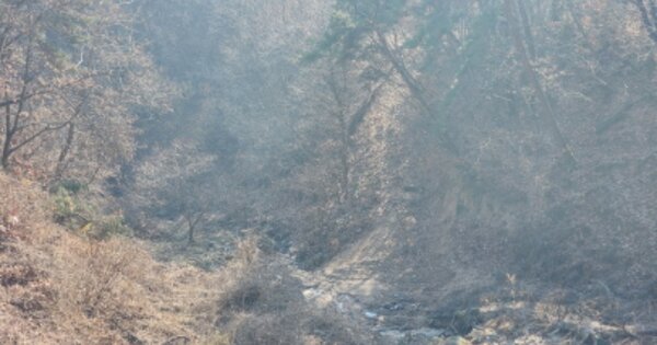 충청북도 제천시 금성면 동막리 OOOOOO 임야 경매 물건 이미지