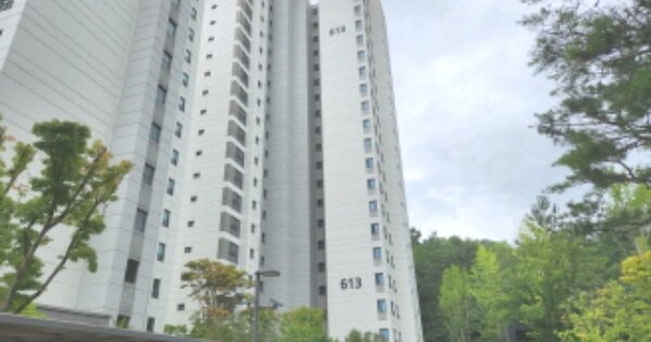 세종특별자치시 반곡동 1035, 613동 OOOOOO OOOOOOOOOOOOOO 아파트 경매 물건 이미지