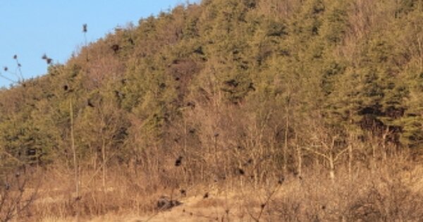 경상북도 영양군 영양읍 감천리 OOO 전 경매 물건 이미지