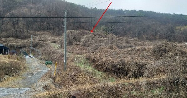 충청북도 옥천군 청성면 양저리 OOO 전 경매 물건 이미지