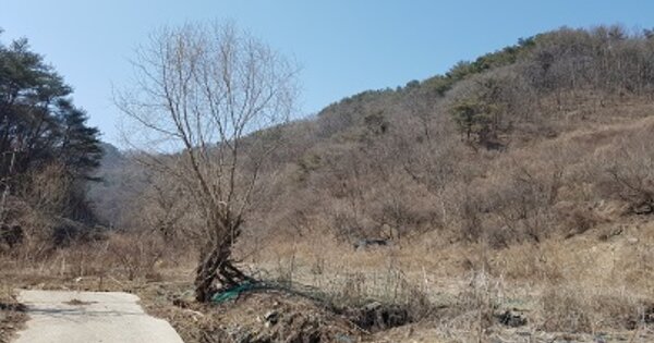 경상북도 의성군 옥산면 오류리 OOO 답 경매 물건 이미지