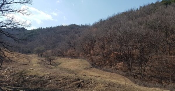 경상북도 의성군 단밀면 위중리 OOOO 답 경매 물건 이미지