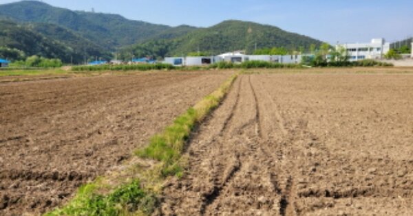 경상북도 영덕군 축산면 축산리 OOO 답 경매 물건 이미지