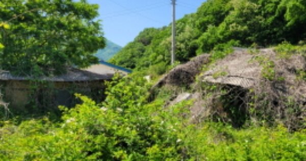 경상북도 영덕군 달산면 덕산리 OOOOO O OOO 임야 경매 물건 이미지