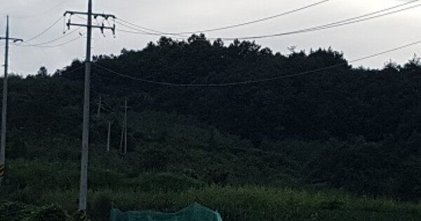 경상북도 청송군 진보면 세장리 OOOO 임야 경매 물건 이미지