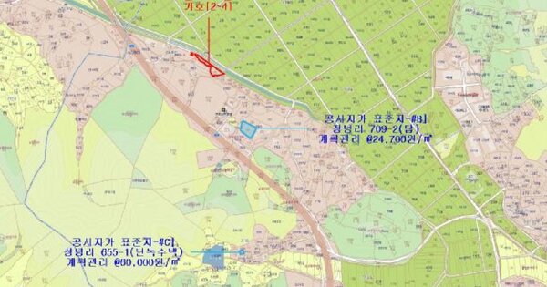 경상남도 창녕군 성산면 정녕리 OOOOO 답 경매 물건 이미지