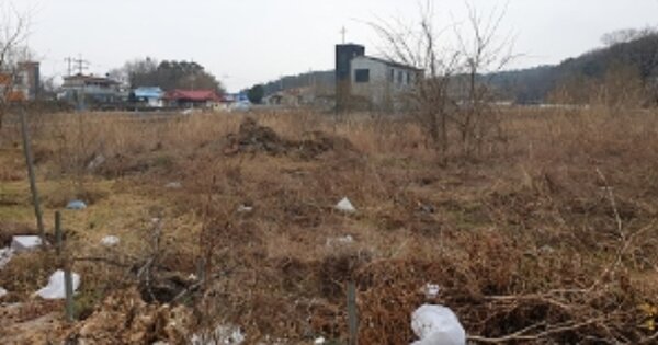 충청남도 보령시 웅천읍 대창리 OOOOO O OOO 답 경매 물건 이미지