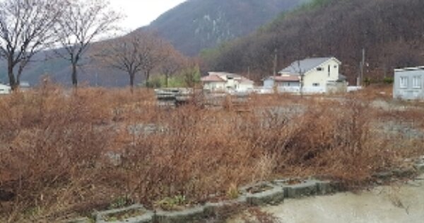 충청남도 보령시 성주면 개화리 OOOOO O OOOO 임야 경매 물건 이미지