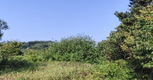 충청남도 보령시 남포면 제석리 OOOOO 전 경매 물건 이미지