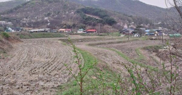충청남도 공주시 신기동 OOO 답 경매 물건 이미지