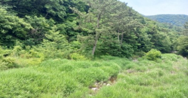 경상남도 거제시 동부면 구천리 OOO O OOO 임야 경매 물건 이미지