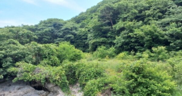 경상남도 거제시 동부면 구천리 OOO O OOO 답 경매 물건 이미지