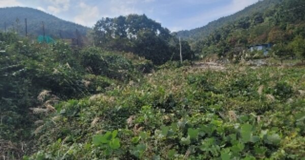 경상남도 통영시 광도면 죽림리 OOOO O OOO 답 경매 물건 이미지