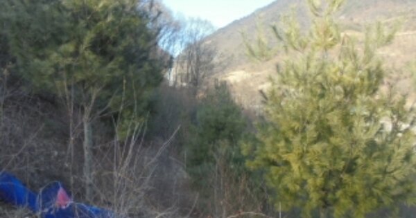 충청북도 충주시 노은면 수룡리 OOOOO O OOO 임야 경매 물건 이미지