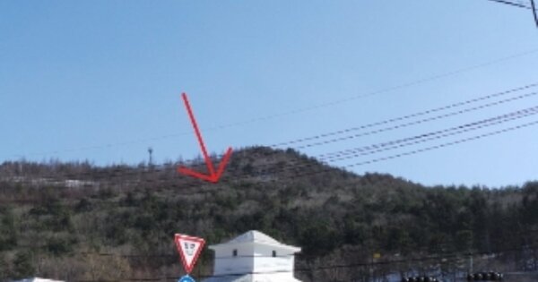 강원특별자치도 태백시 소도동 OOO 임야 경매 물건 이미지