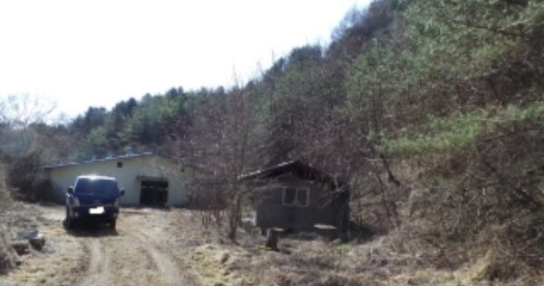 강원특별자치도 정선군 화암면 화암리 OOO 전 경매 물건 이미지