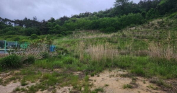 전북특별자치도 부안군 변산면 대항리 OOOOO 전 경매 물건 이미지
