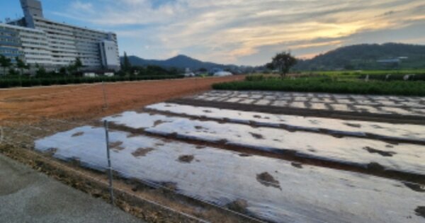 전북특별자치도 부안군 변산면 지서리 OOOOO 전 경매 물건 이미지