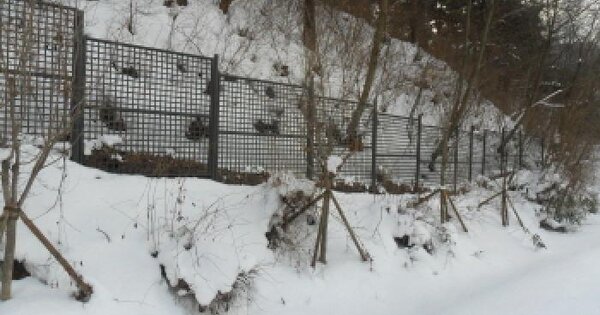 전라북도 고창군 고창읍 월산리 OOO 임야 경매 물건 이미지
