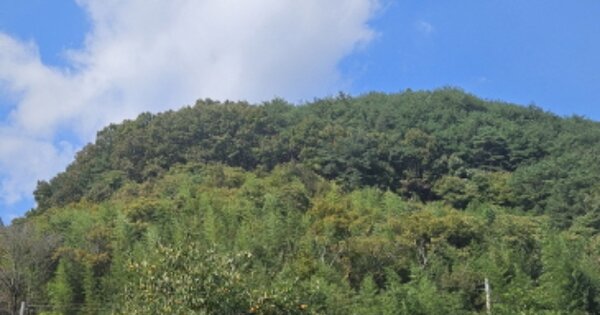 경상남도 산청군 시천면 중태리 OOO 임야 경매 물건 이미지