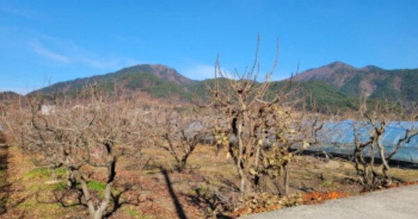 경상남도 산청군 시천면 천평리 OOOOO 답 경매 물건 이미지