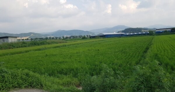 경기도 안성시 서운면 신촌리 OOO 답 경매 물건 이미지