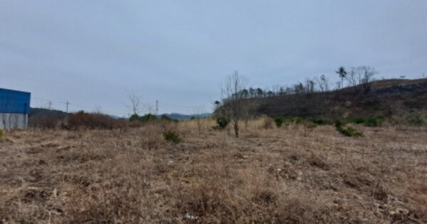 충청남도 서산시 운산면 고산리 OOOOO O OOO 답 경매 물건 이미지