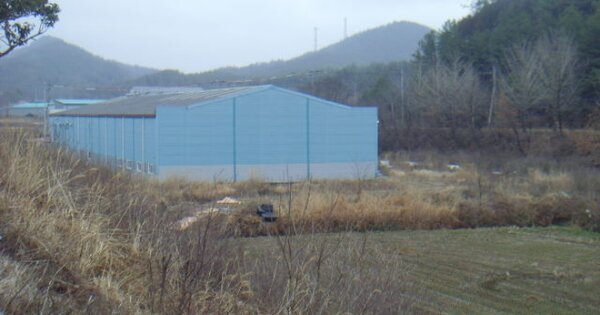 전라남도 해남군 옥천면 신죽리 OOOOO O OOO 공장 경매 물건 이미지