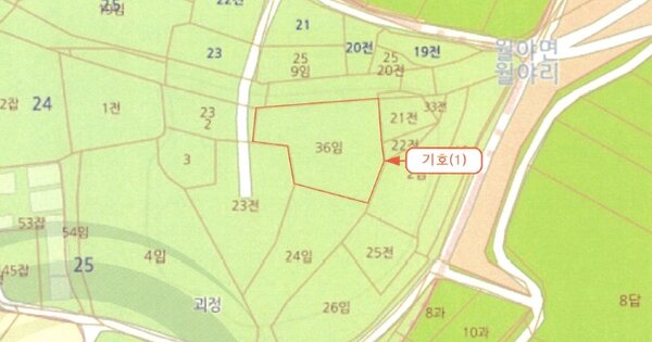 전라남도 함평군 월야면 월야리 OOOOO 임야 경매 물건 이미지