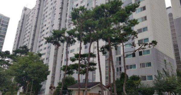 경기 안성시 공도읍 진사리 643, 103동 OOOOOOOO OOOOOOOOOOOO 아파트 경매 물건 이미지