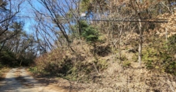 전라남도 고흥군 두원면 풍류리 OOO 임야 경매 물건 이미지