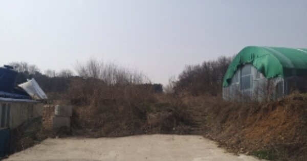 충청남도 당진시 합덕읍 석우리 OOOOO O OOO 임야 경매 물건 이미지