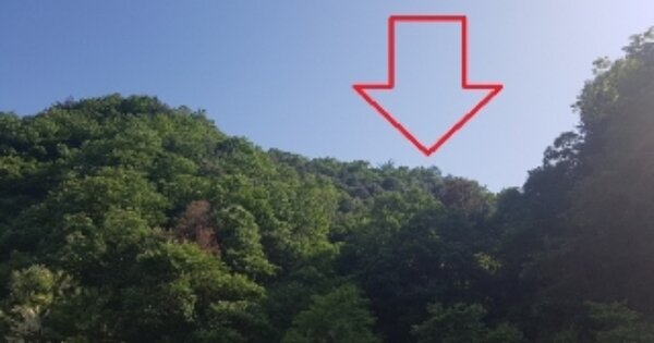 강원특별자치도 춘천시 남산면 강촌리 OOOOO 임야 경매 물건 이미지