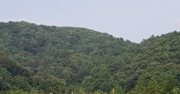 강원특별자치도 춘천시 남산면 방곡리 OOOOOO 임야 경매 물건 이미지