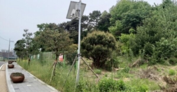 충청남도 당진시 우강면 송산리 OOOOOO 임야 경매 물건 이미지