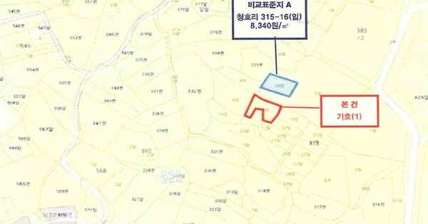 전라남도 무안군 일로읍 청호리 OOOOOO 임야 경매 물건 이미지