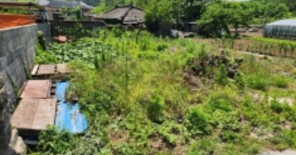 전라남도 순천시 해룡면 선학리 OOOOO 대지 경매 물건 이미지