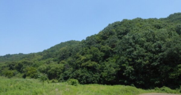 충청북도 청주시 서원구 현도면 죽암리 OOO 임야 경매 물건 이미지