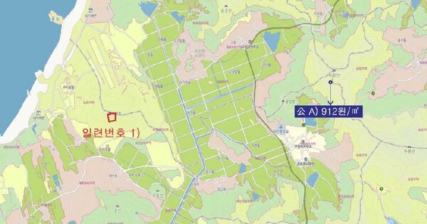 전라남도 신안군 자은면 백산리 OOOO 임야 경매 물건 이미지