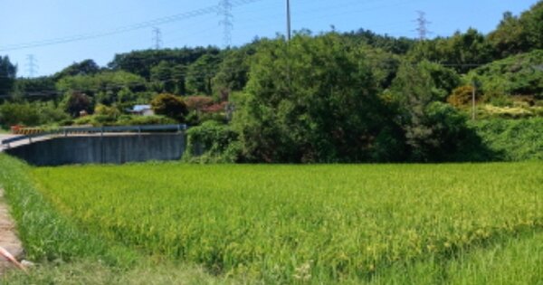 충청남도 당진시 정미면 우산리 OOOO 답 경매 물건 이미지
