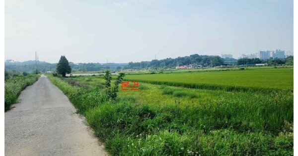 충청남도 당진시 송악읍 반촌리 OOOOO 답 경매 물건 이미지